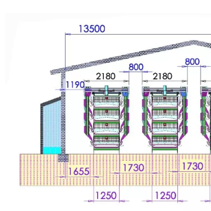 POULTRY HELPER poultry cages for layer chickens for 10000 birds with conveyor belt for farm