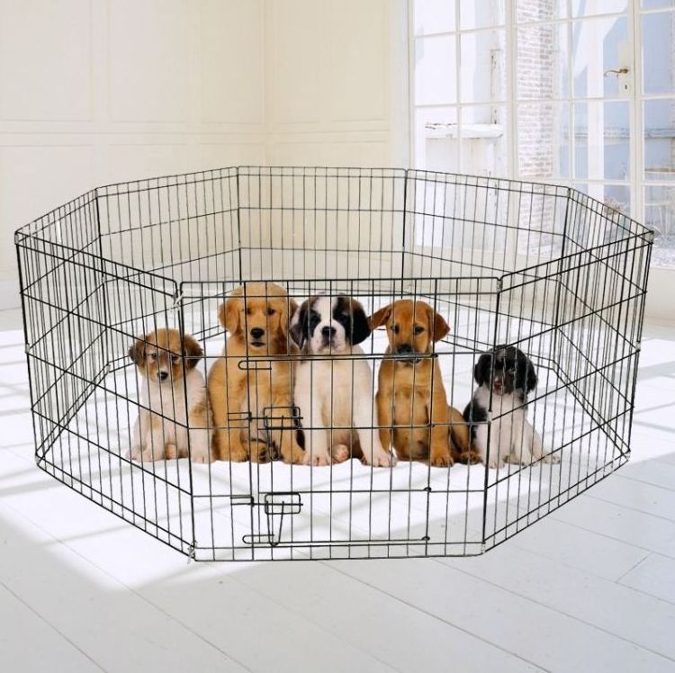 Garden Pet Outdoor Large Metal Portable Foldable Dog Fence For Dogs