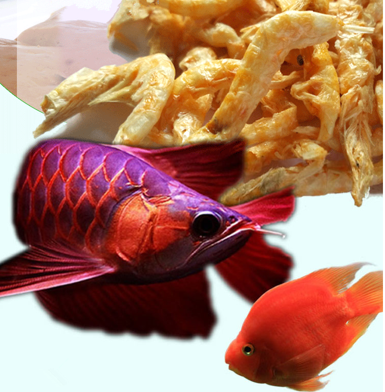 Wholesale Flowerhorn Fish Food Pellet