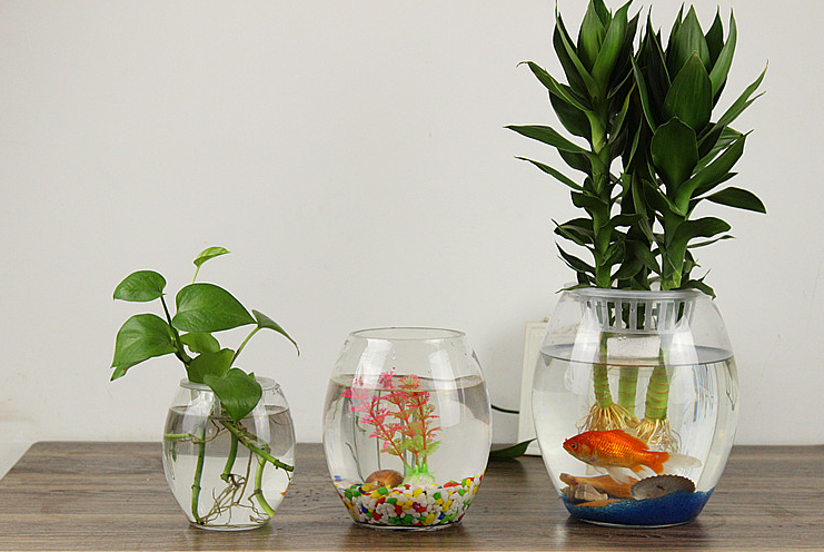 High Quality Desktop Multi-shaped Clear Mini / Large Glass Fish Bowl