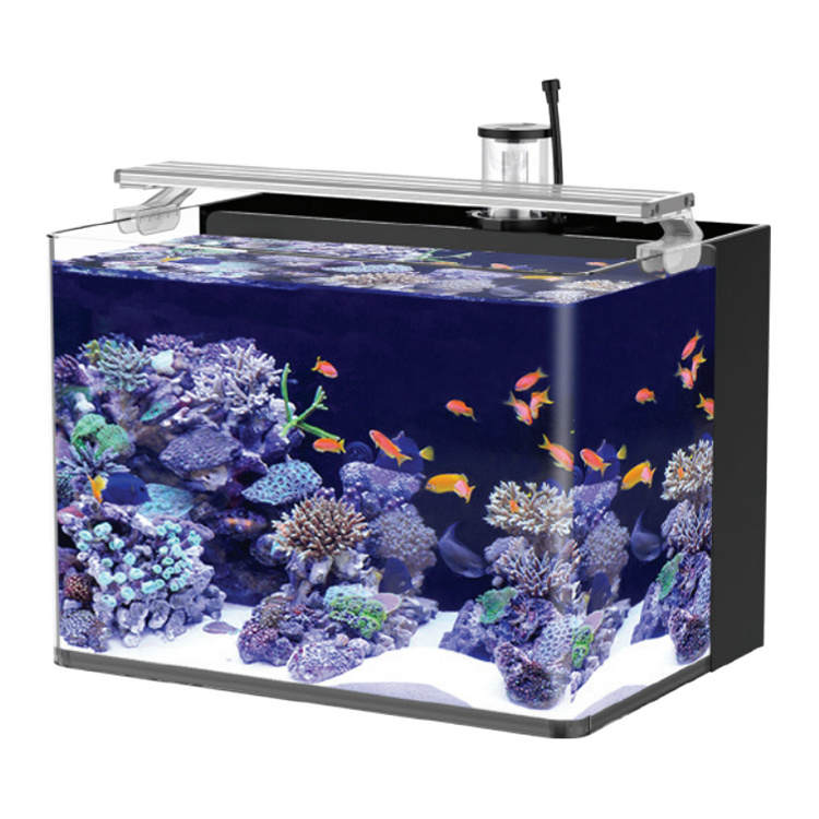 Table Aquarium Curvedcurved Fish Tank Saltwater Marine Fish Tank Aquarium