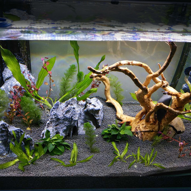 Aqua Plant Soil Substrate Aquarium