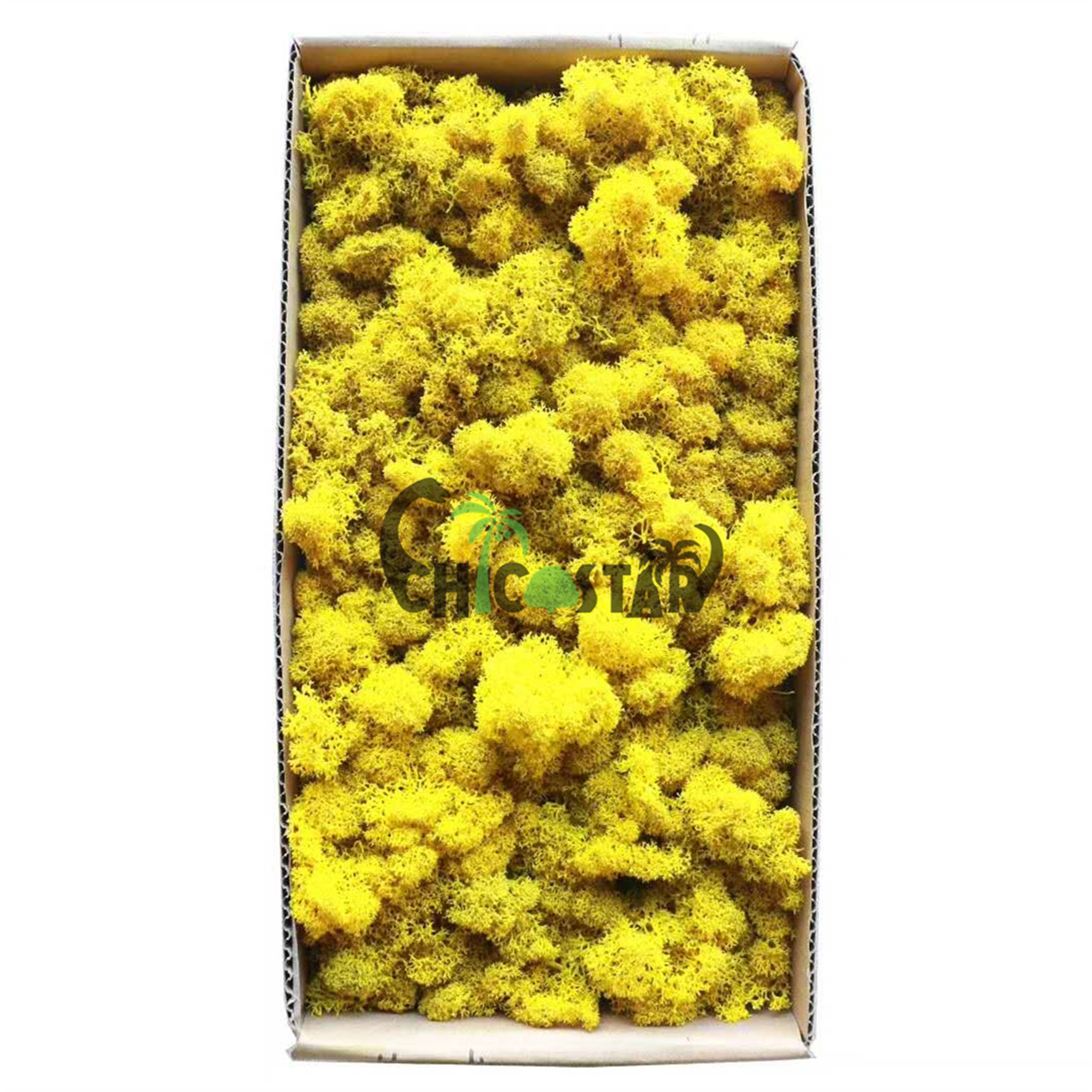 Home Wall Decoration Accessories Artificial Preserved Reindeer Moss Suitable for Home Office Garden Wedding Interior Decoration