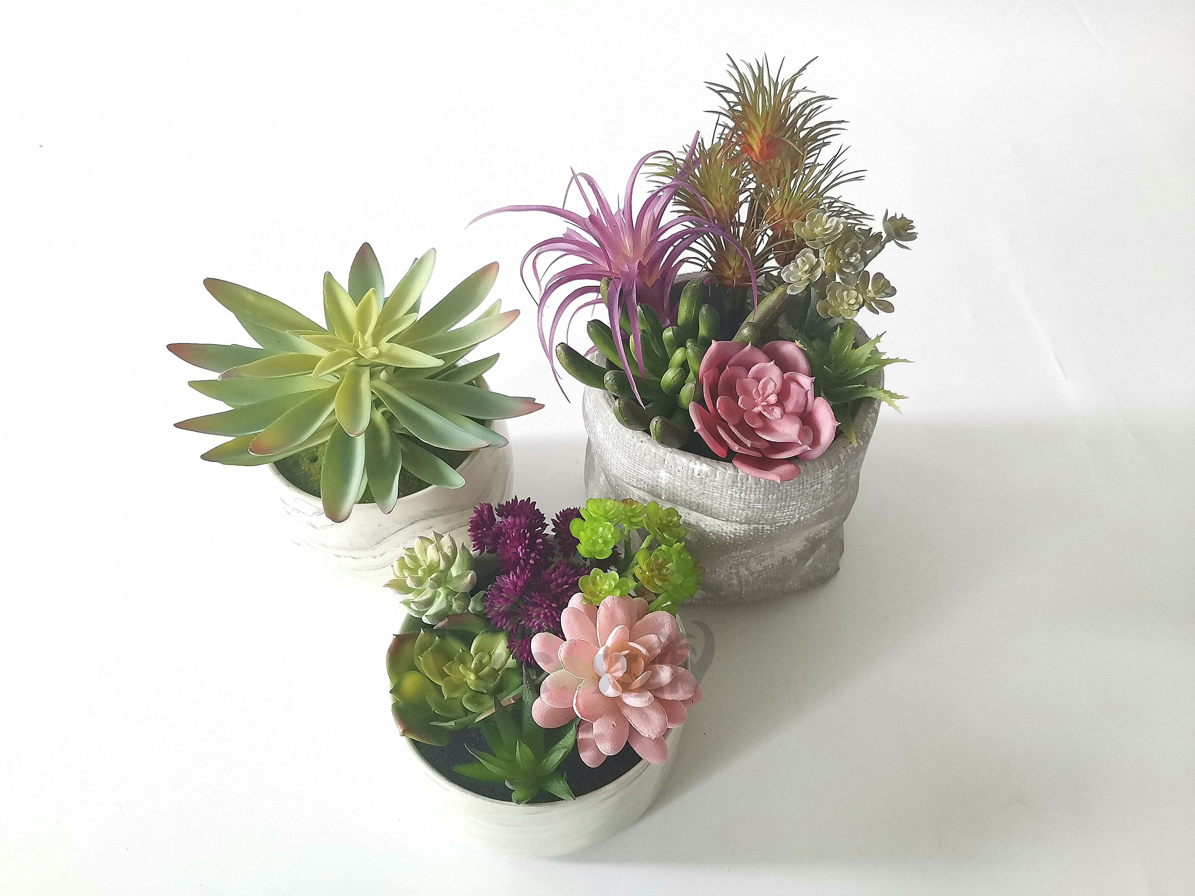 New factory price real touch artificial succulent plants for indoor decoration artificial succulents