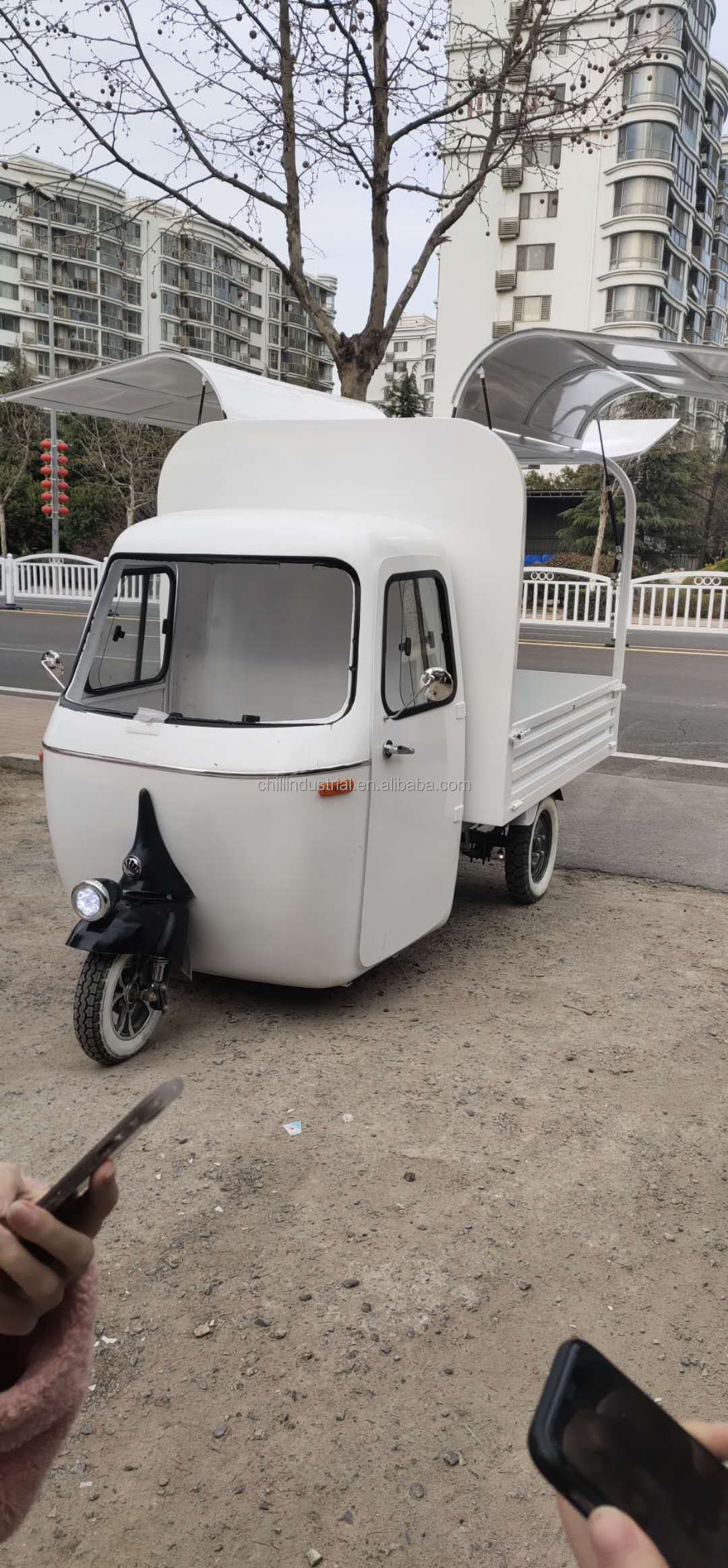 Prosecco Van Mobile Bar Inner Walls and Shelves for Sale Fully Equipped with Wooden Electric Food Truck Motorcycle Engine