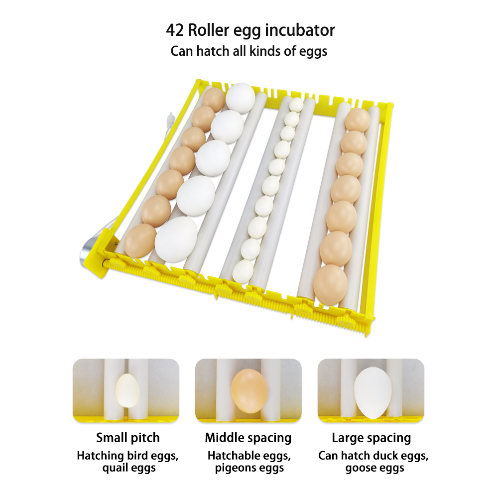 Chicken Egg Incubator /Chicken eggs incubator and hatcher / egg incubator of egg hatching machine