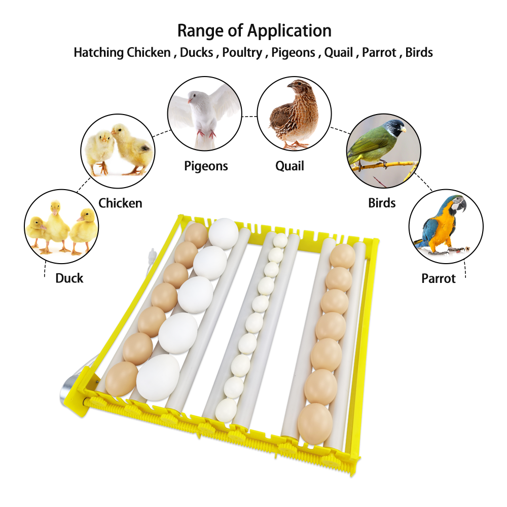 Chicken Egg Incubator /Chicken eggs incubator and hatcher / egg incubator of egg hatching machine