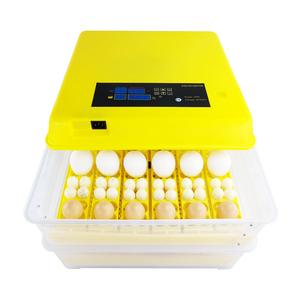 Newest 72 parrot quail bird egg incubator automatically eggs for sale