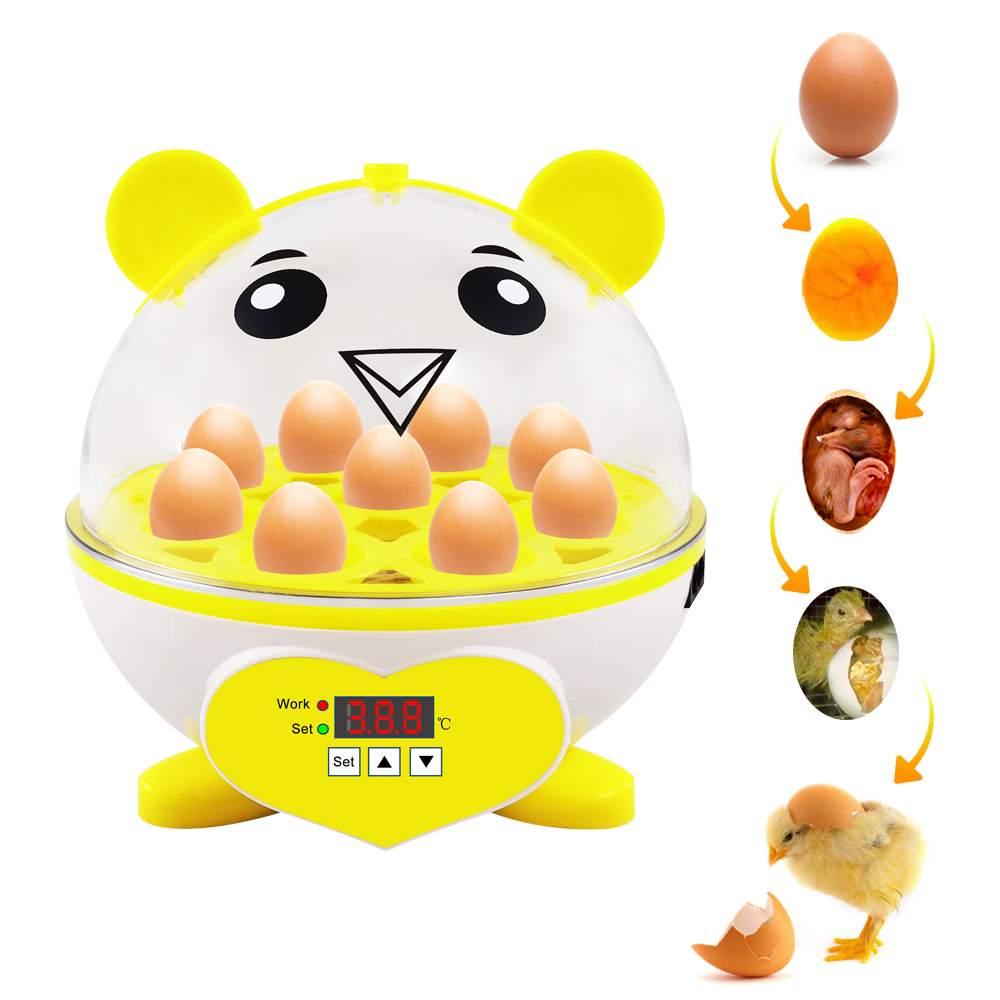 Top selling 9 egg incubator hatching fighting cock for sale