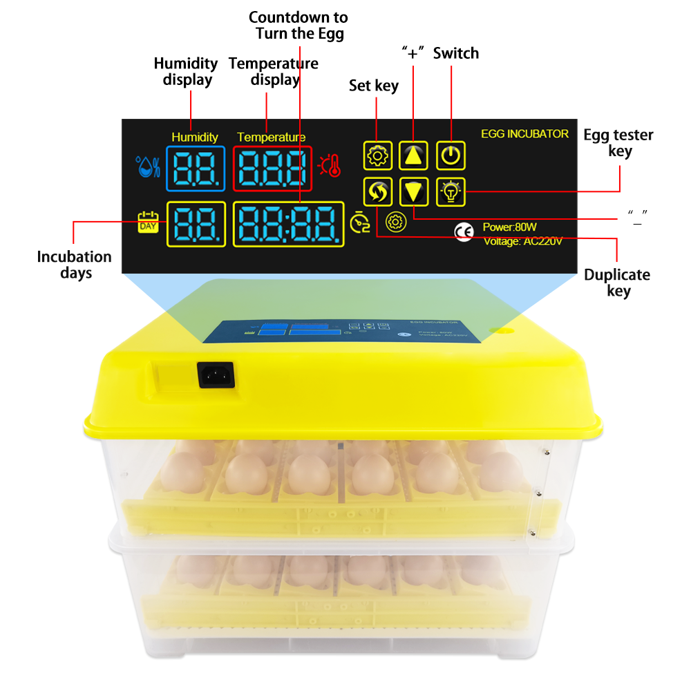 Newest 72 parrot quail bird egg incubator automatically eggs for sale