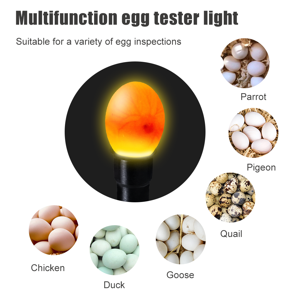 incubator spare parts for egg tester  candler for egg hatching machine egg candle