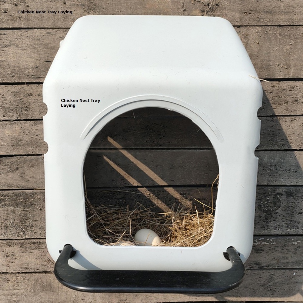 Breeder Egg Laying Hens Nests Box For Chickens Automatic Egg Collection System