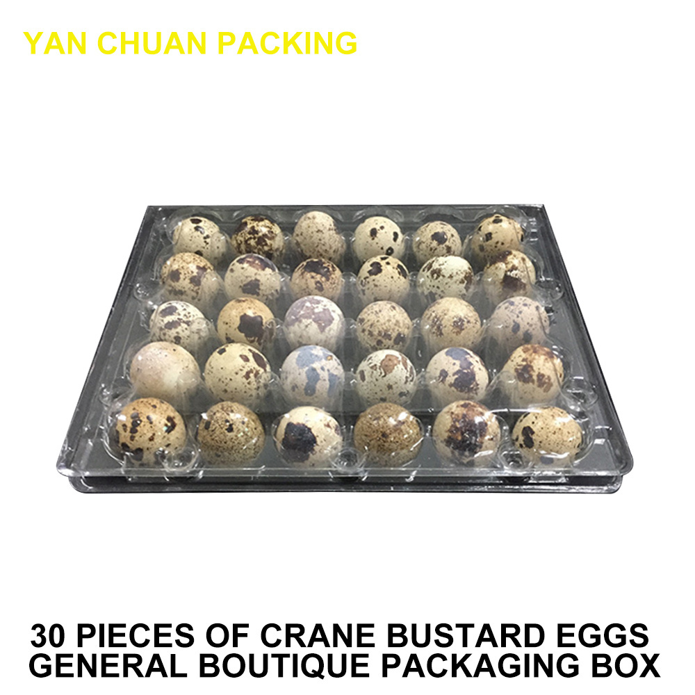 Wholesale 12 holes plastic egg tray packaging Plastic chicken egg carton packaging