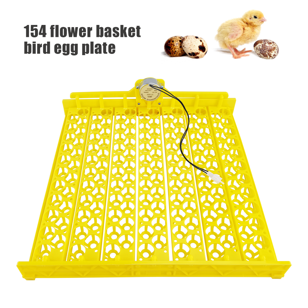 Hot selling 154 Eggs Quail Egg Packaging Tray Egg For Sale