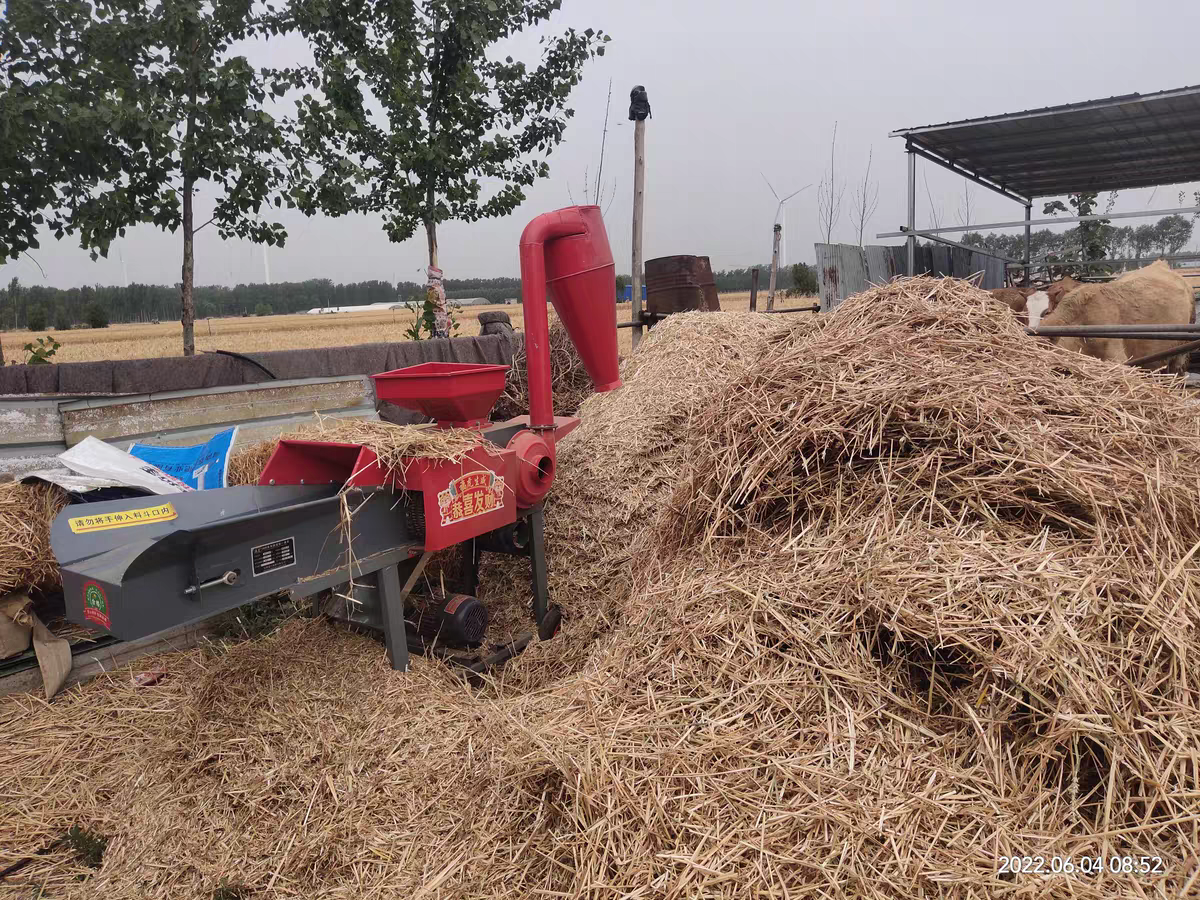 Electric Paddy Straw Cutter Chaff Cutter for Dairy Farm Poultry Feed Making Machine Cow Feed Machine Fodder Cutting Machine