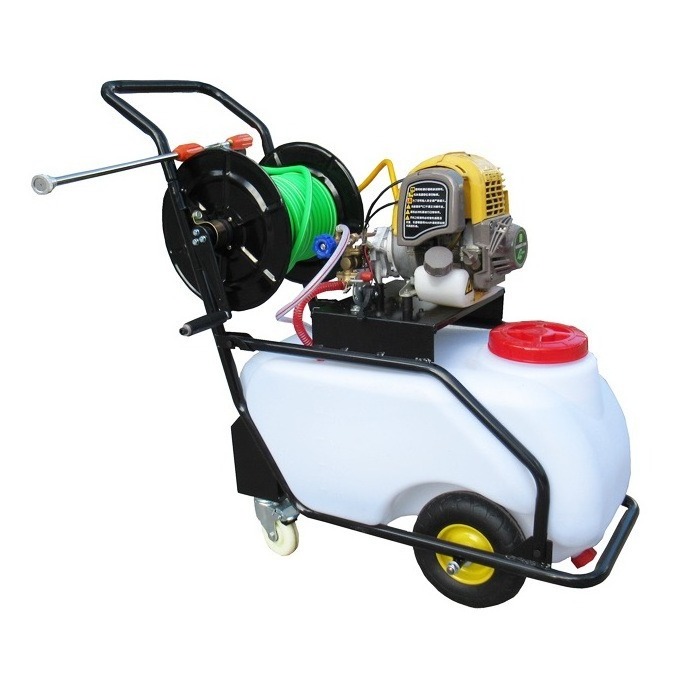 CANMAX Manufacturer Gasoline Hand Push High Range Power Pesticide Spray Fogging Machine Sprayer Applicator Mist Fogger