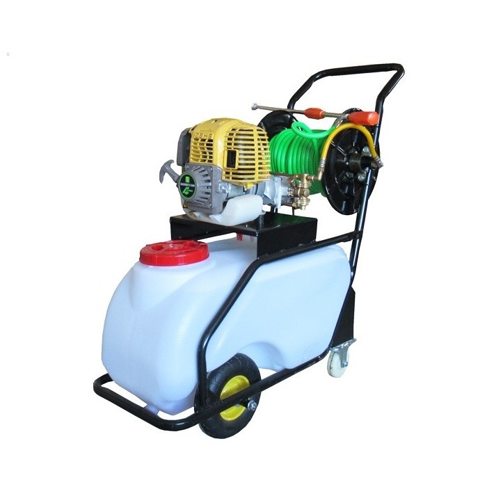 CANMAX Manufacturer Gasoline Hand Push High Range Power Pesticide Spray Fogging Machine Sprayer Applicator Mist Fogger