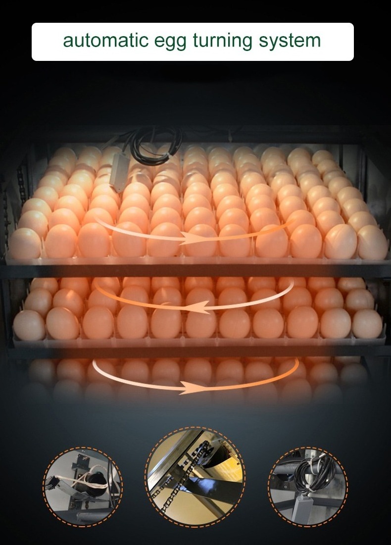 CANMAX Manufacturer Automatic Chicken/Solar Energy Egg Incubator Incubator Egg Hatching Machine Egg Incubators