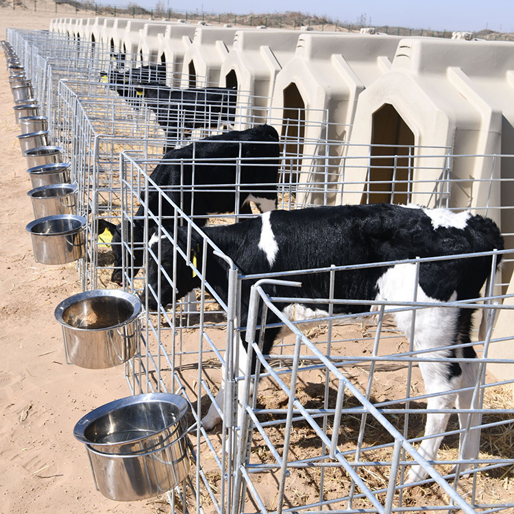 Calf Hutch dairy farm equipment cattle factories customization wholesale Cattle cow house Hutch