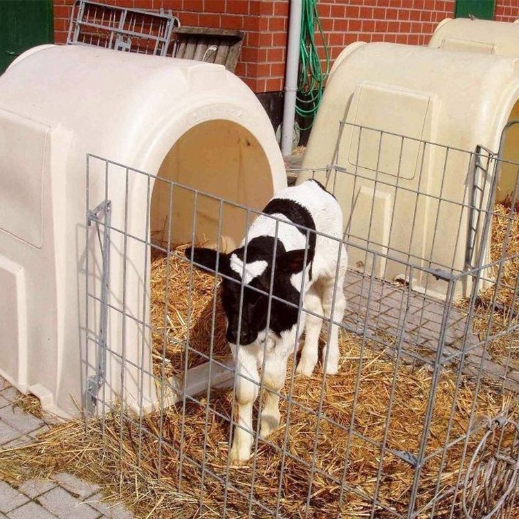 Dairy Farm Use PE Calf Feeding Hutch Home Calf Hutches Calf Housing with Steel Fence for Sale