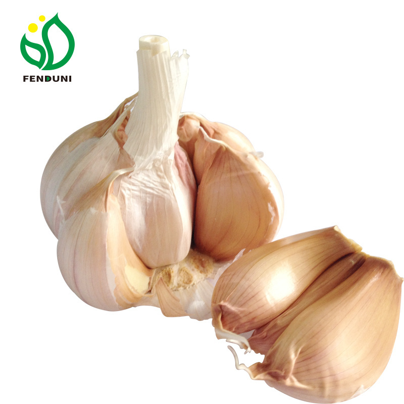 Pure White Garlic Ajo Garlic China Wholesale Garlic