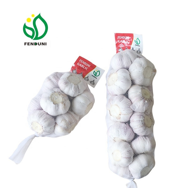 garlic supplier from china / AJO ALHO Ail