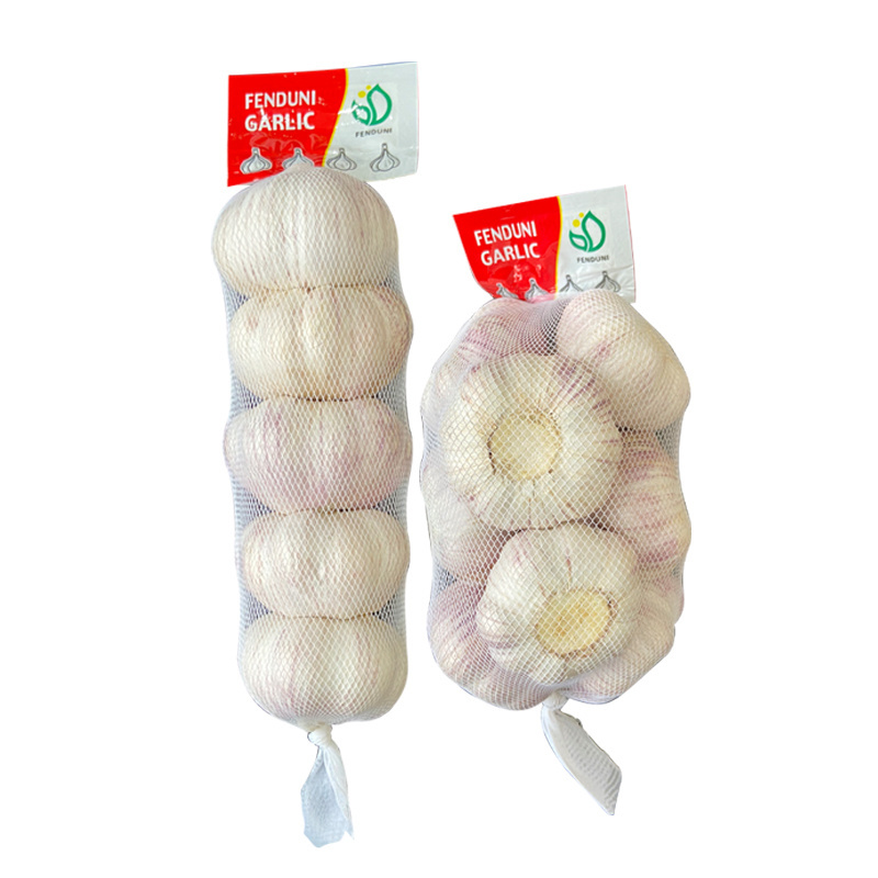 New crop High quality fresh red Garlic 10 kg solo garlic mesh Bag with small bag 1kg