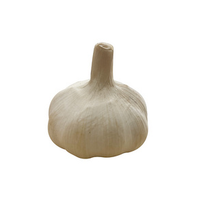 Fenudni Garlic Ajos -ajo chino por cajas -Fresh Chinese 4p Pure White Garlic