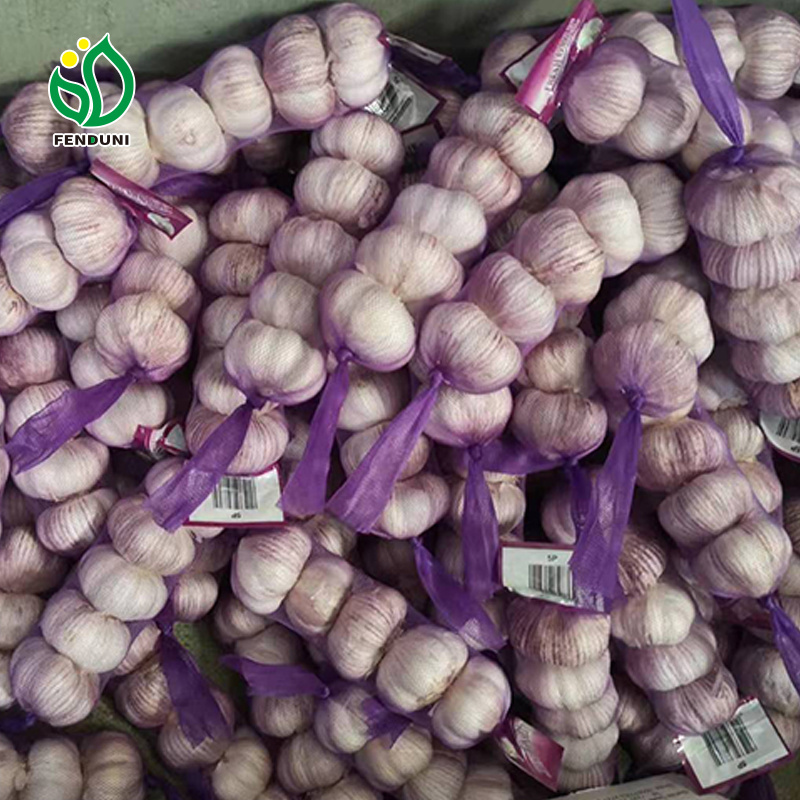 Fenudni Garlic Ajos -ajo chino por cajas -Fresh Chinese 4p Pure White Garlic