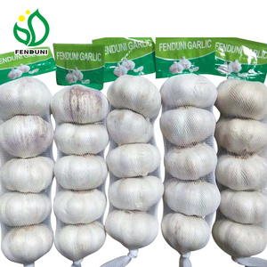 Pure White Garlic Ajo Garlic China Wholesale Garlic