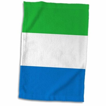 blue white green flag High Quality Polyester Hand held White Red Custom Stick Flags