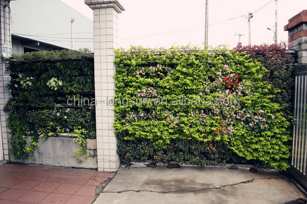 LSD-160104651 Artificial plants outdoor green wall/foliage wall decoration/ fern wall decore plastic plant