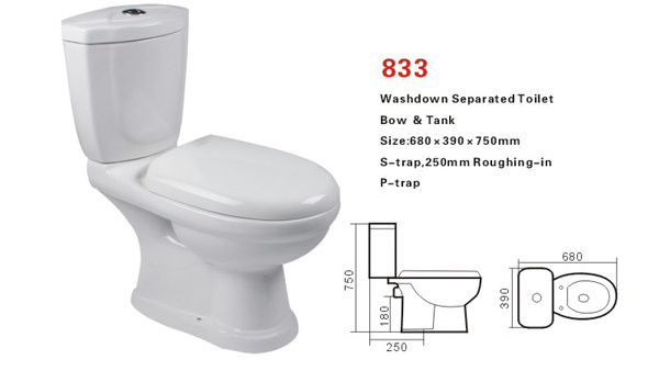 Unique design dual flush ceramic washdown two piece toilet