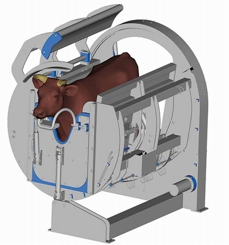 High Efficiency Automatic Cow Slaughter Machine For Halal Cattle Abattoir