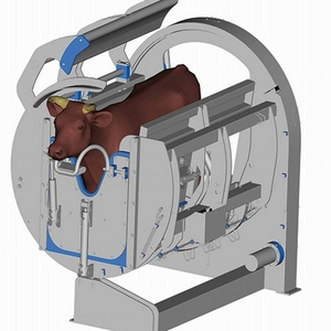 High Efficiency Automatic Cow Slaughter Machine For Halal Cattle Abattoir