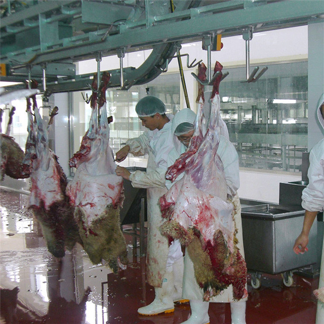 Ritual Sheep Abattoir Machinery For Lamb Halal Turnkey Slaughter House Line