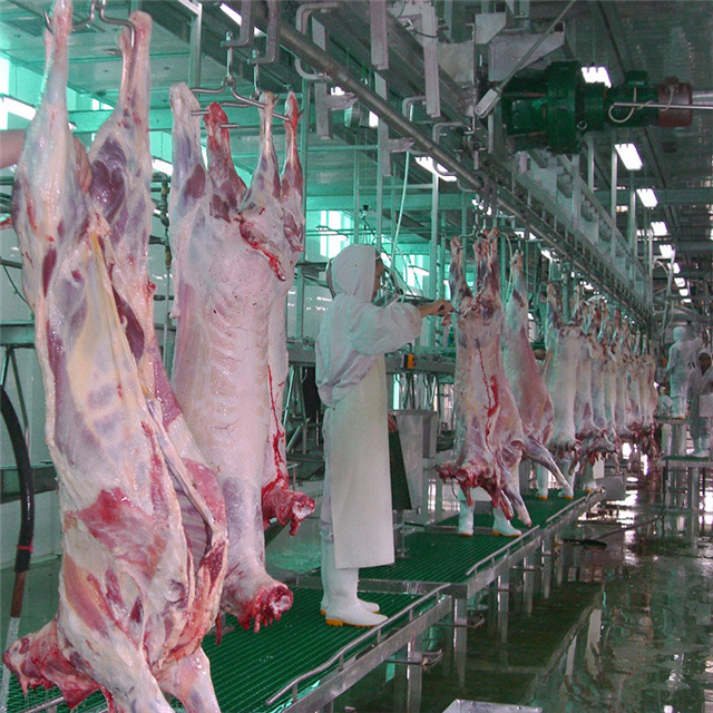 Ritual Sheep Abattoir Machinery For Lamb Halal Turnkey Slaughter House Line