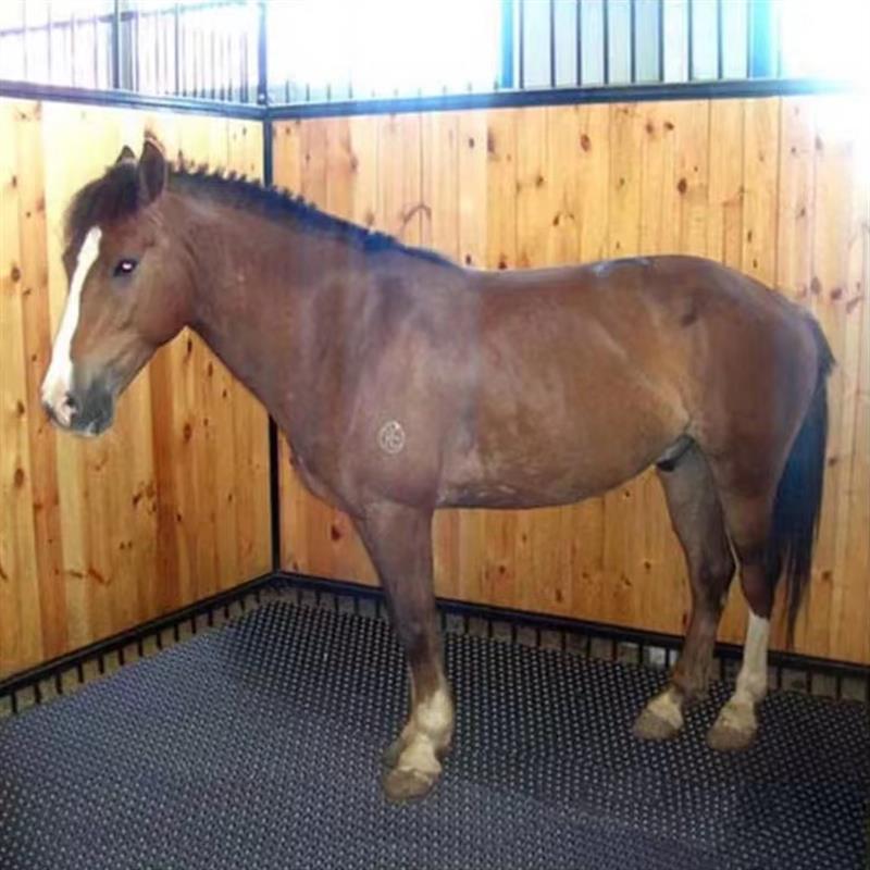 Horse Trailer Mat With Bars And Ribbed Surface Rubber Flooring For Stock Trailers Safety Ramp