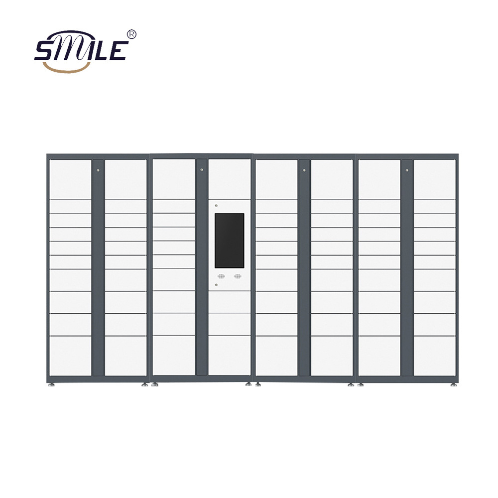 SMILE custom fabrication services storage parcel lockers smart 2 doors clothing steel locker/wardrobe buy for now