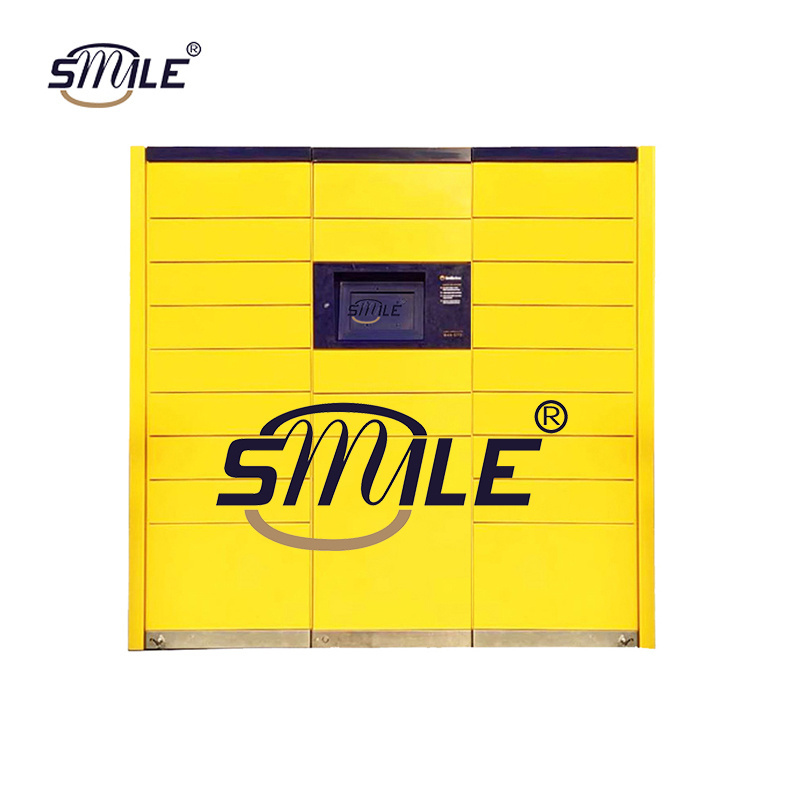 SMILE custom fabrication services storage parcel lockers smart 2 doors clothing steel locker/wardrobe buy for now