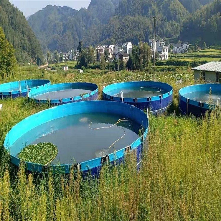 The latest high-quality fish ponds are professionally designed for fish tanks for aquaculture or fish farms