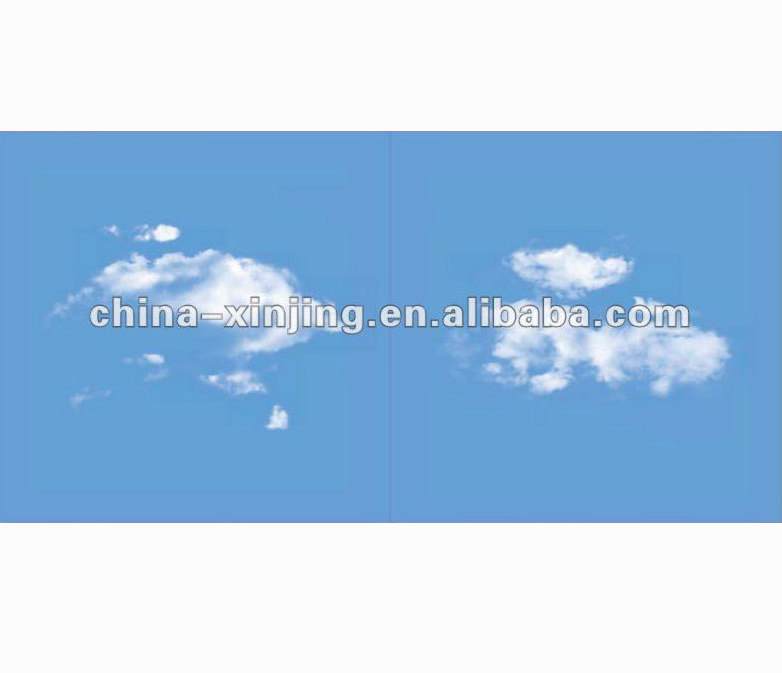 Blue sky white clouds pattern- aluminum clip in ceiling tile