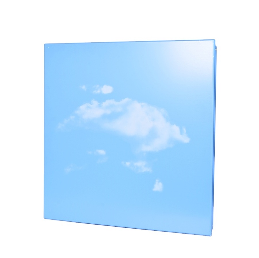 Blue sky white clouds pattern- aluminum clip in ceiling tile