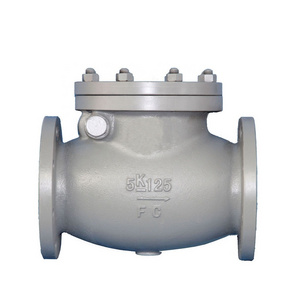 Cast Iron JIS Marine Cast Iron Swing Check Valve F7372 5K 125A