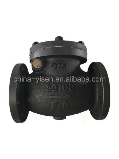 Cast Iron JIS Marine Cast Iron Swing Check Valve F7372 5K 125A