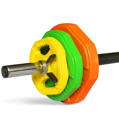 Rubber Barbell Weight Plate For Weight Lifting Training Durable Color Using Weight Plate