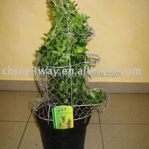 High Quality All kinds of animals Gardening Decoration Customized Shape Metal Wire Topiary Frames Animals