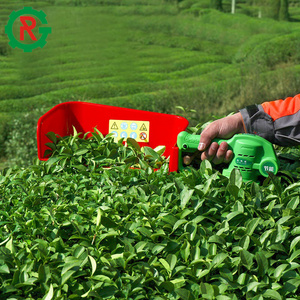 Tea harvesting machine plucking machine harvester tea picker