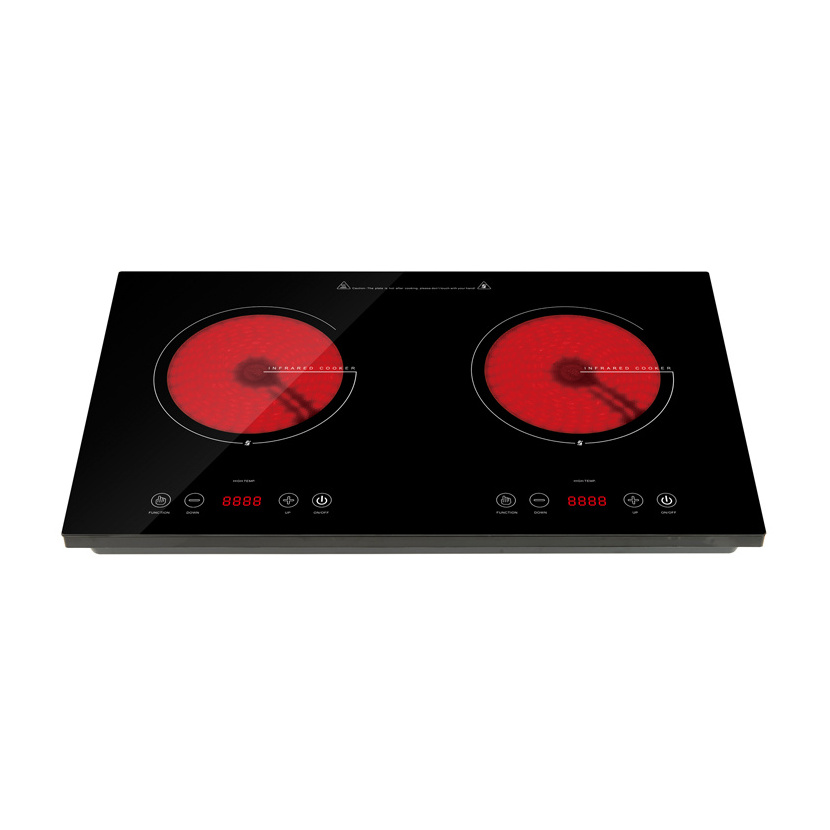 Dual voltage impex battery powered induction cooker