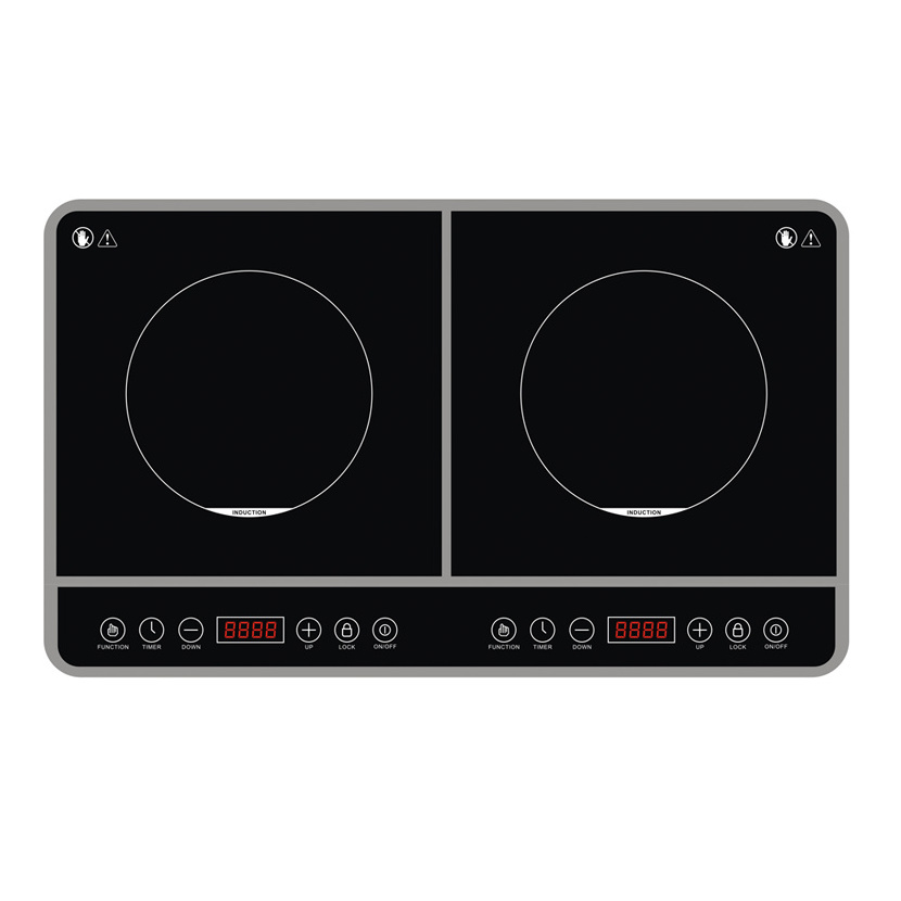 Dual voltage impex battery powered induction cooker